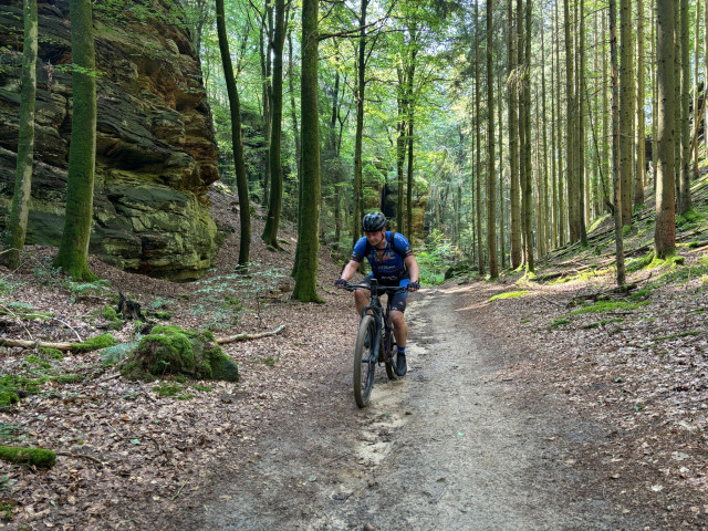 Week-end dans le Mullerthal 2024-08 - photo 52